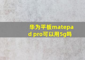 华为平板matepad pro可以用5g吗